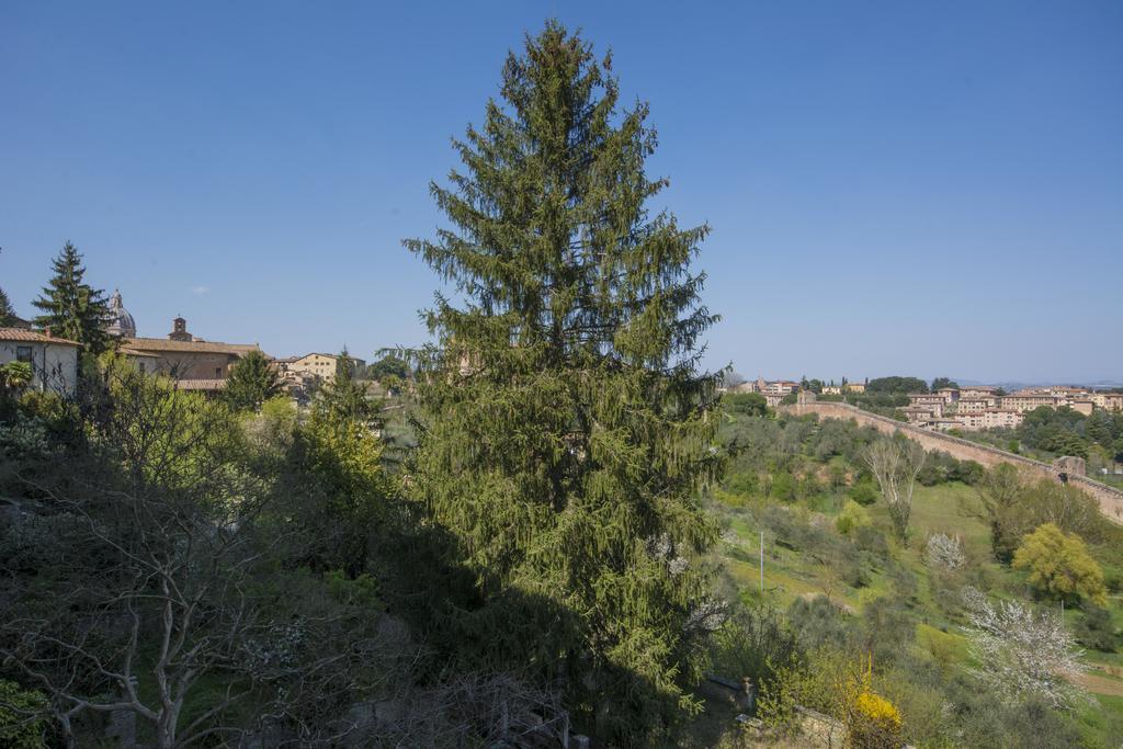 B&B Pantaneto - Palazzo Bulgarini Siena Exterior foto